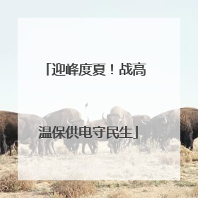 迎峰度夏！战高温保供电守民生