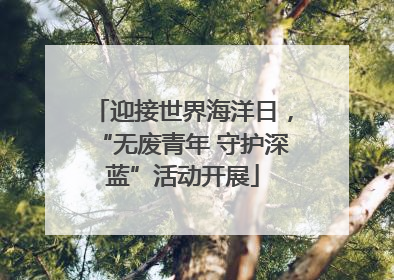迎接世界海洋日，“无废青年 守护深蓝”活动开展