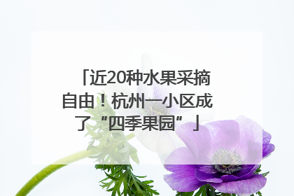 近20种水果采摘自由！杭州一小区成了“四季果园”