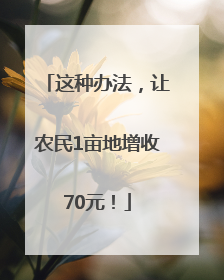 这种办法，让农民1亩地增收70元！