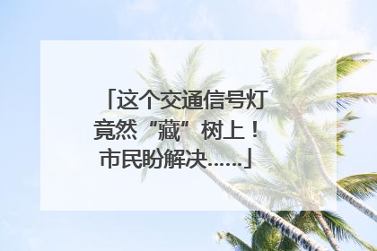 这个交通信号灯竟然“藏”树上！市民盼解决……