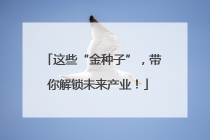 这些“金种子”，带你解锁未来产业！