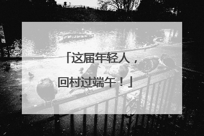这届年轻人，回村过端午！