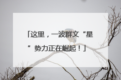 这里，一波群文“星”势力正在崛起！