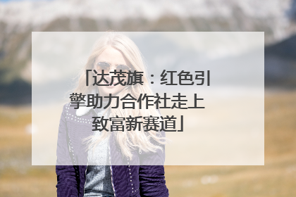 达茂旗：红色引擎助力合作社走上致富新赛道