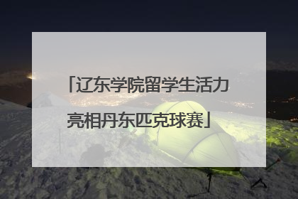 辽东学院留学生活力亮相丹东匹克球赛