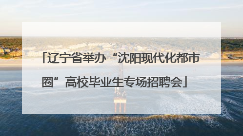 辽宁省举办“沈阳现代化都市圈”高校毕业生专场招聘会