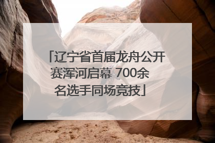 辽宁省首届龙舟公开赛浑河启幕 700余名选手同场竞技