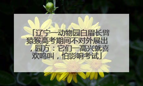 辽宁一动物园白眉长臂猿猴高考期间不对外展出，园方：它们一高兴就喜欢鸣叫，怕影响考试