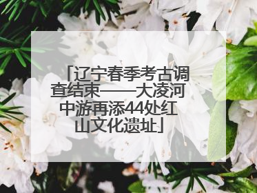 辽宁春季考古调查结束——大凌河中游再添44处红山文化遗址