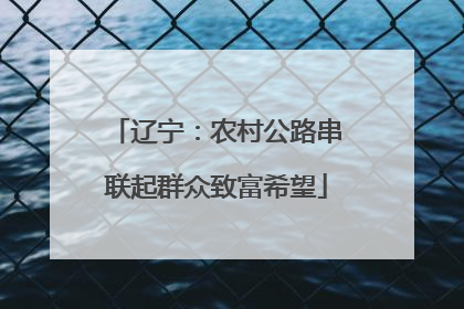 辽宁：农村公路串联起群众致富希望