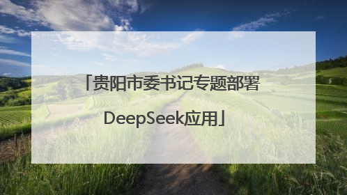 贵阳市委书记专题部署DeepSeek应用