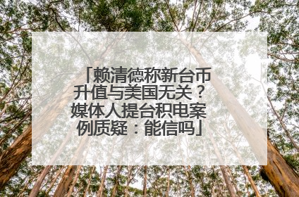 赖清德称新台币升值与美国无关？媒体人提台积电案例质疑：能信吗