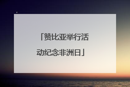赞比亚举行活动纪念非洲日