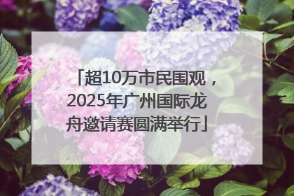 超10万市民围观，2025年广州国际龙舟邀请赛圆满举行