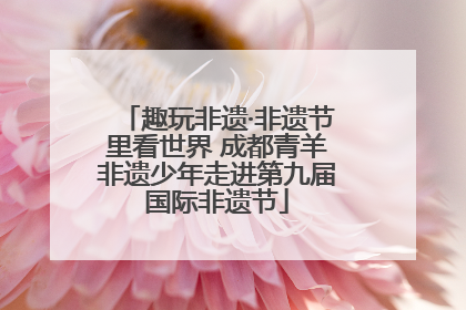 趣玩非遗·非遗节里看世界 成都青羊非遗少年走进第九届国际非遗节