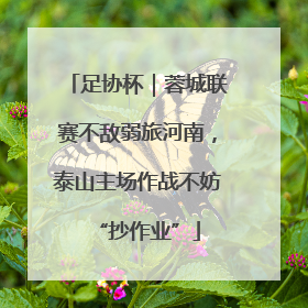 足协杯｜蓉城联赛不敌弱旅河南，泰山主场作战不妨“抄作业”