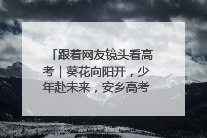 跟着网友镜头看高考｜葵花向阳开，少年赴未来，安乡高考首日的希望图景