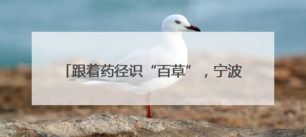 跟着药径识“百草”，宁波首条中医药研学步道发布