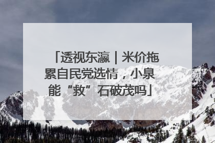 透视东瀛｜米价拖累自民党选情，小泉能“救”石破茂吗