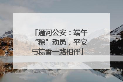 通河公安：端午“粽”动员，平安与粽香一路相伴