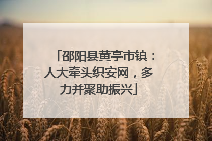 邵阳县黄亭市镇：人大牵头织安网，多力并聚助振兴