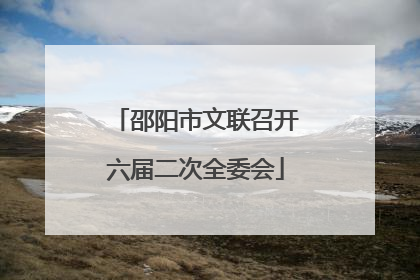 邵阳市文联召开六届二次全委会