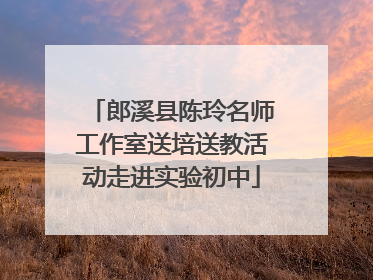 郎溪县陈玲名师工作室送培送教活动走进实验初中