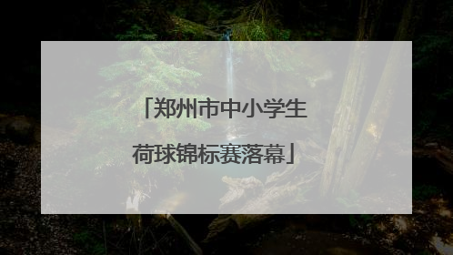 郑州市中小学生荷球锦标赛落幕