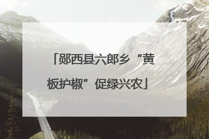 郧西县六郎乡“黄板护椒”促绿兴农