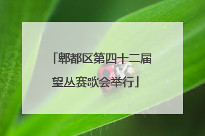 郫都区第四十二届望丛赛歌会举行