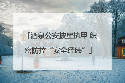 酒泉公安披星执甲 织密防控“安全经纬”