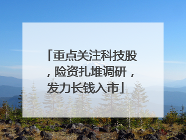 重点关注科技股，险资扎堆调研，发力长钱入市