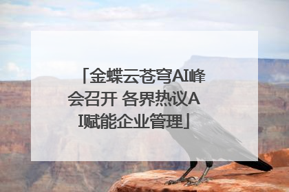 金蝶云苍穹AI峰会召开 各界热议AI赋能企业管理