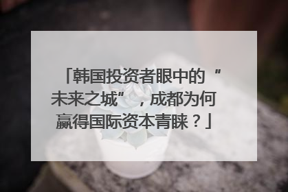 韩国投资者眼中的“未来之城”，成都为何赢得国际资本青睐？