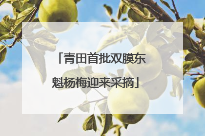 青田首批双膜东魁杨梅迎来采摘