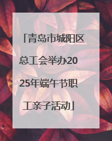 青岛市城阳区总工会举办2025年端午节职工亲子活动