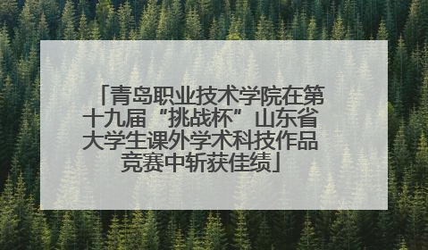 青岛职业技术学院在第十九届“挑战杯”山东省大学生课外学术科技作品竞赛中斩获佳绩