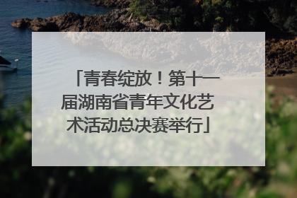 青春绽放！第十一届湖南省青年文化艺术活动总决赛举行