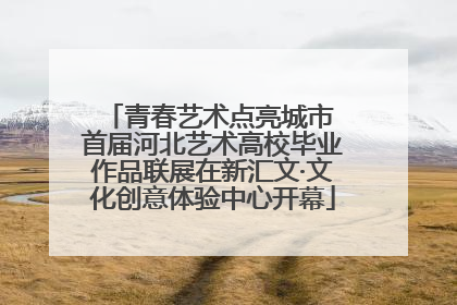 青春艺术点亮城市 首届河北艺术高校毕业作品联展在新汇文·文化创意体验中心开幕