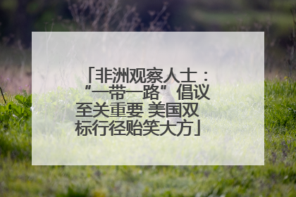 非洲观察人士：“一带一路”倡议至关重要 美国双标行径贻笑大方