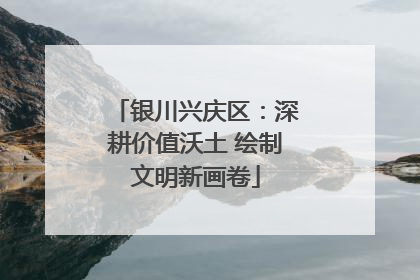 银川兴庆区：深耕价值沃土 绘制文明新画卷