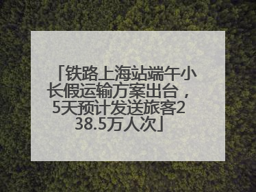 铁路上海站端午小长假运输方案出台，5天预计发送旅客238.5万人次
