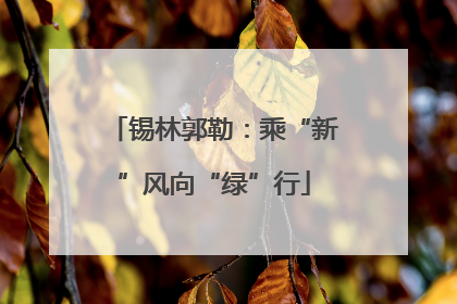 锡林郭勒：乘“新”风向“绿”行