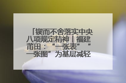锲而不舍落实中央八项规定精神丨福建莆田：“一张表”“一张图”为基层减轻“数字负担”
