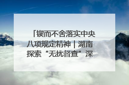 锲而不舍落实中央八项规定精神｜湖南探索“无扰督查”深化基层减负