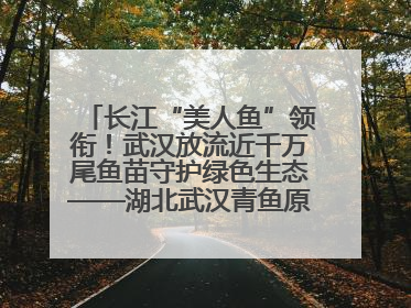 长江“美人鱼”领衔！武汉放流近千万尾鱼苗守护绿色生态——湖北武汉青鱼原种场参加2025年“全国放鱼日”增殖放流活动