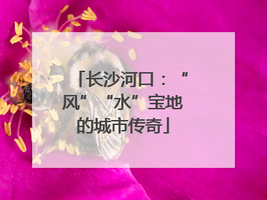 长沙河口：“风”“水”宝地的城市传奇
