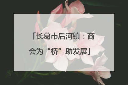长葛市后河镇：商会为“桥”助发展