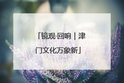 镜观·回响｜津门文化万象新